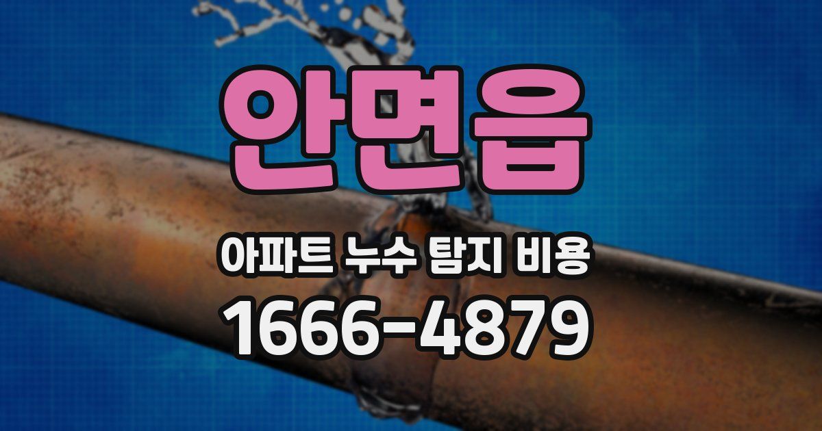 안면읍 아파트 누수 탐지 비용