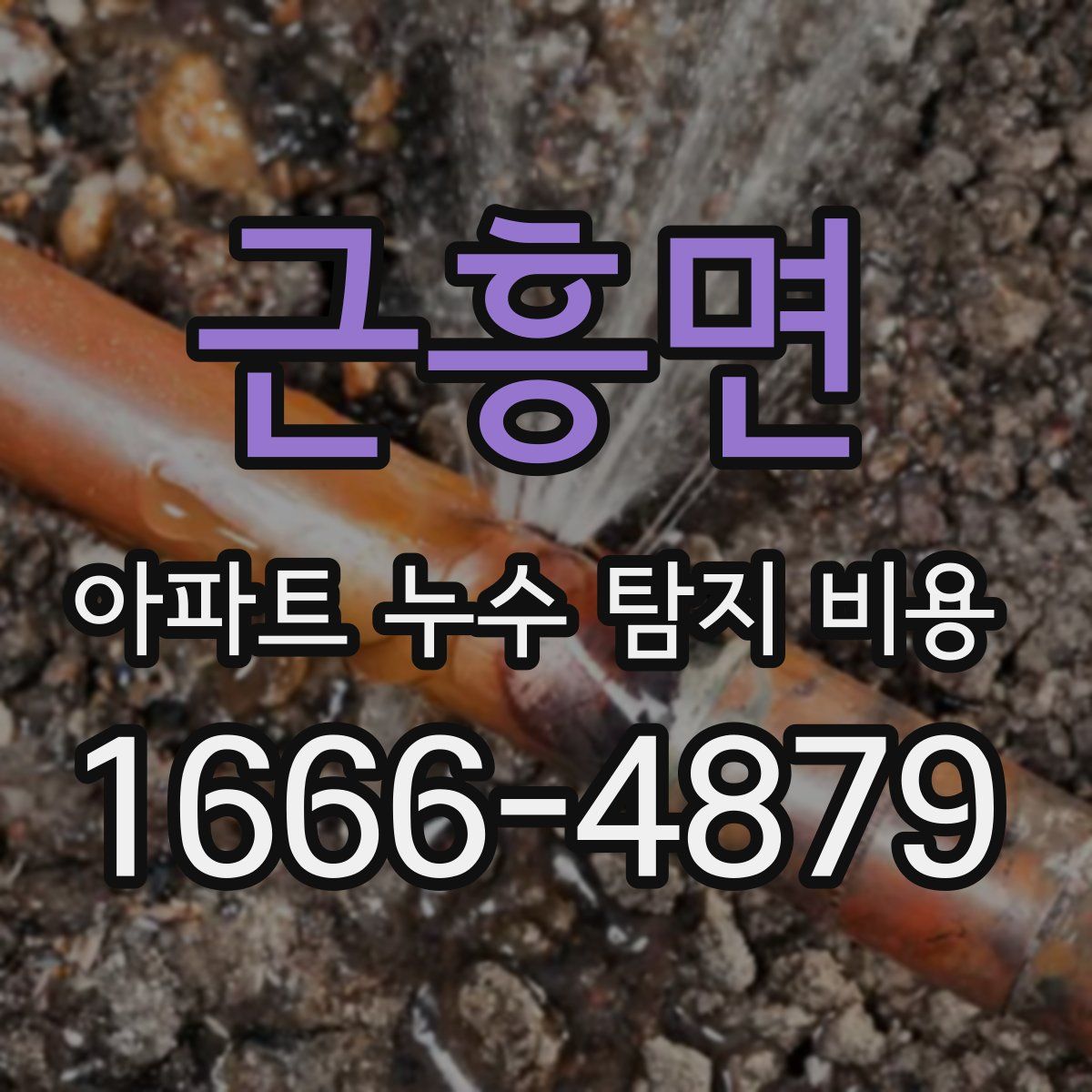 근흥면 아파트 누수 탐지 비용
