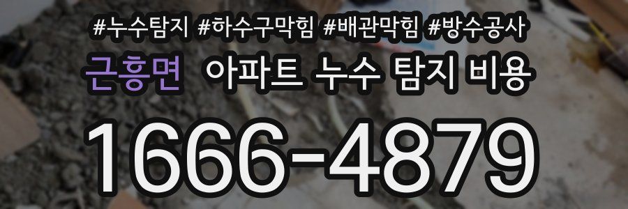 근흥면 아파트 누수 탐지 비용