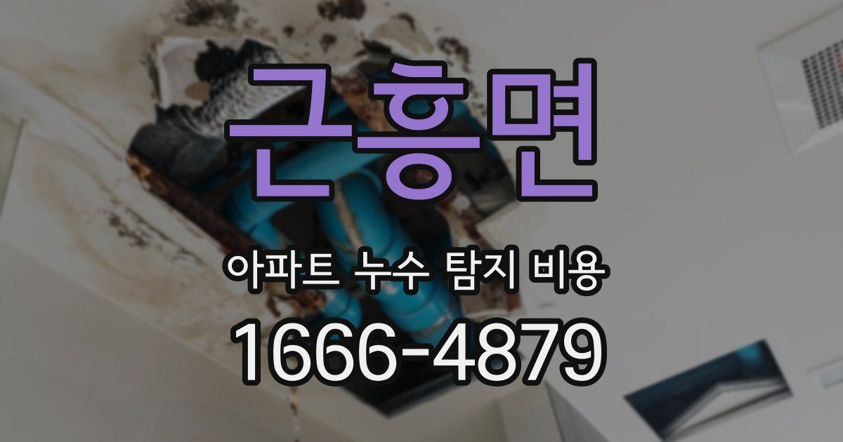 근흥면 아파트 누수 탐지 비용