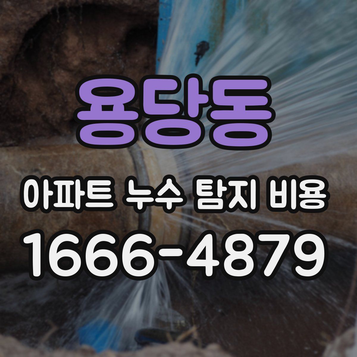 용당동 아파트 누수 탐지 비용