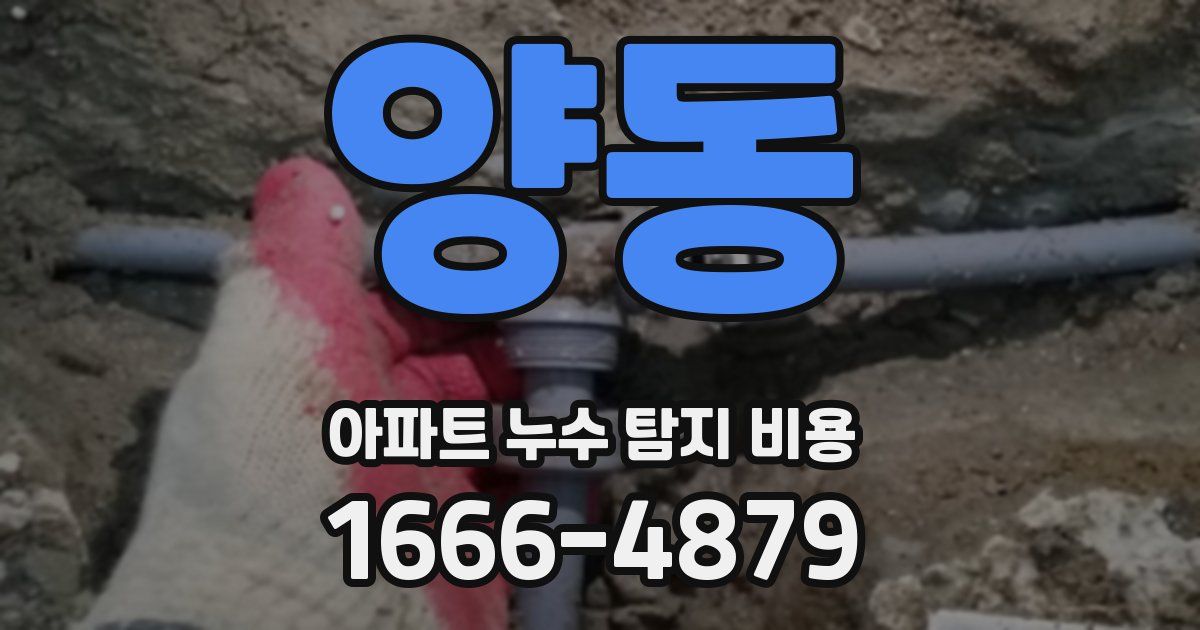 양동 아파트 누수 탐지 비용