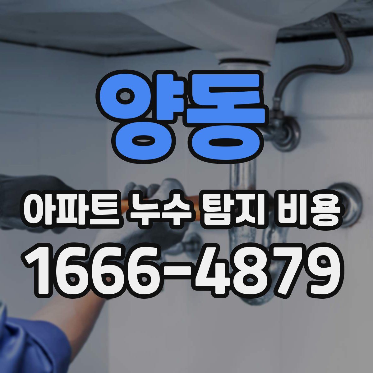 양동 아파트 누수 탐지 비용