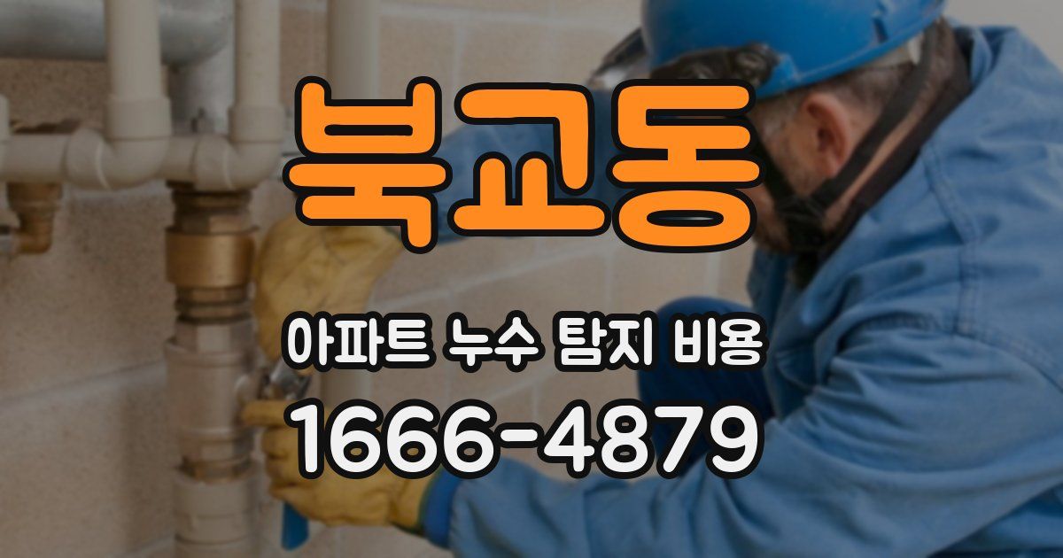 북교동 아파트 누수 탐지 비용
