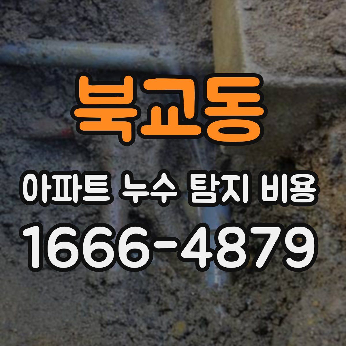 북교동 아파트 누수 탐지 비용