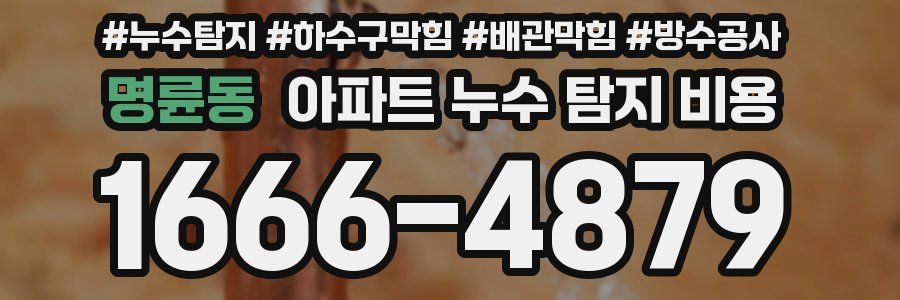 명륜동 아파트 누수 탐지 비용