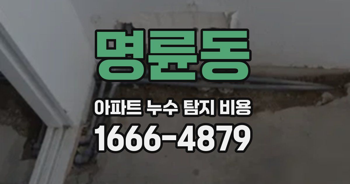 명륜동 아파트 누수 탐지 비용
