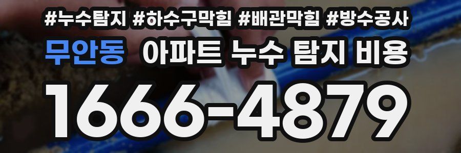 무안동 아파트 누수 탐지 비용