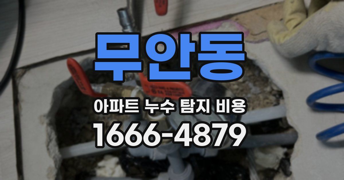 무안동 아파트 누수 탐지 비용