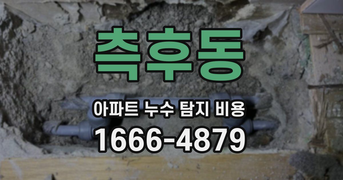 측후동 아파트 누수 탐지 비용