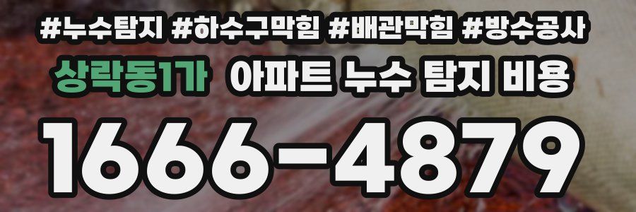 상락동1가 아파트 누수 탐지 비용