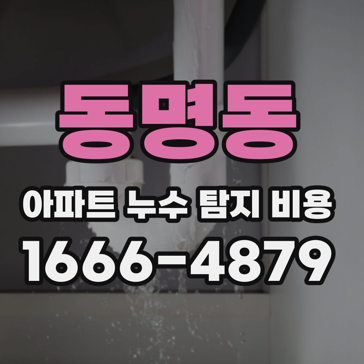 동명동 아파트 누수 탐지 비용
