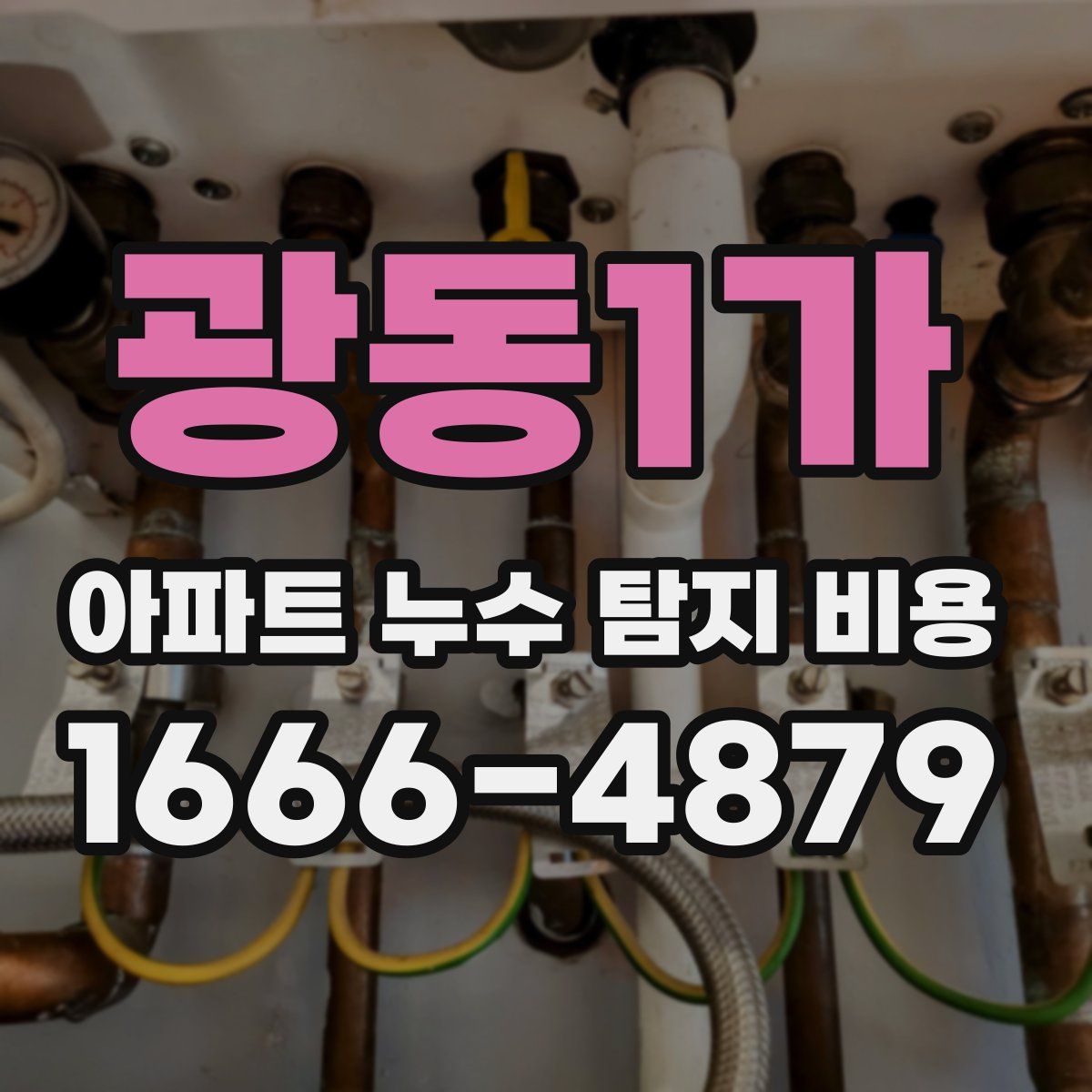 광동1가 아파트 누수 탐지 비용