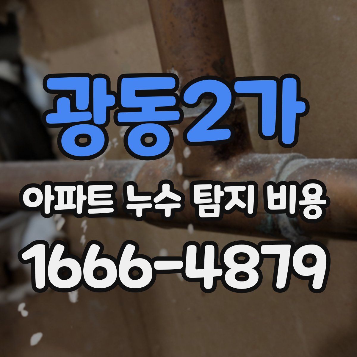 광동2가 아파트 누수 탐지 비용