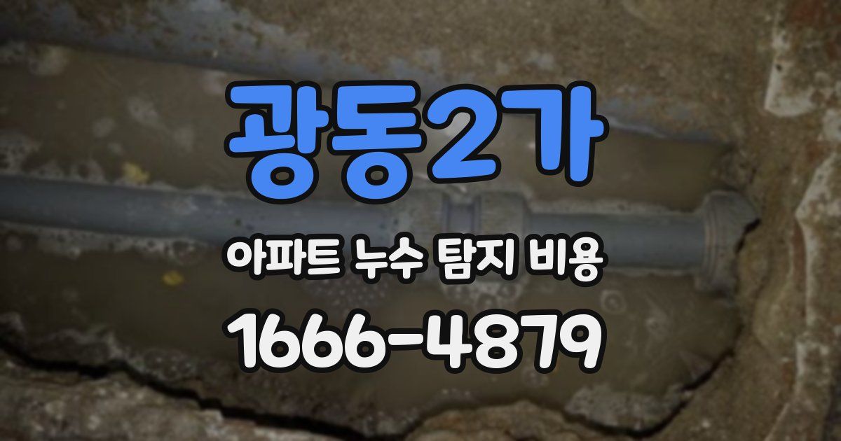 광동2가 아파트 누수 탐지 비용