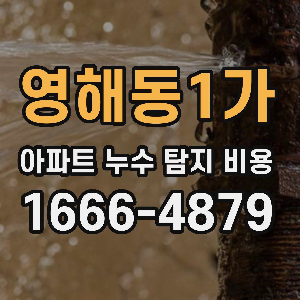 영해동1가 아파트 누수 탐지 비용