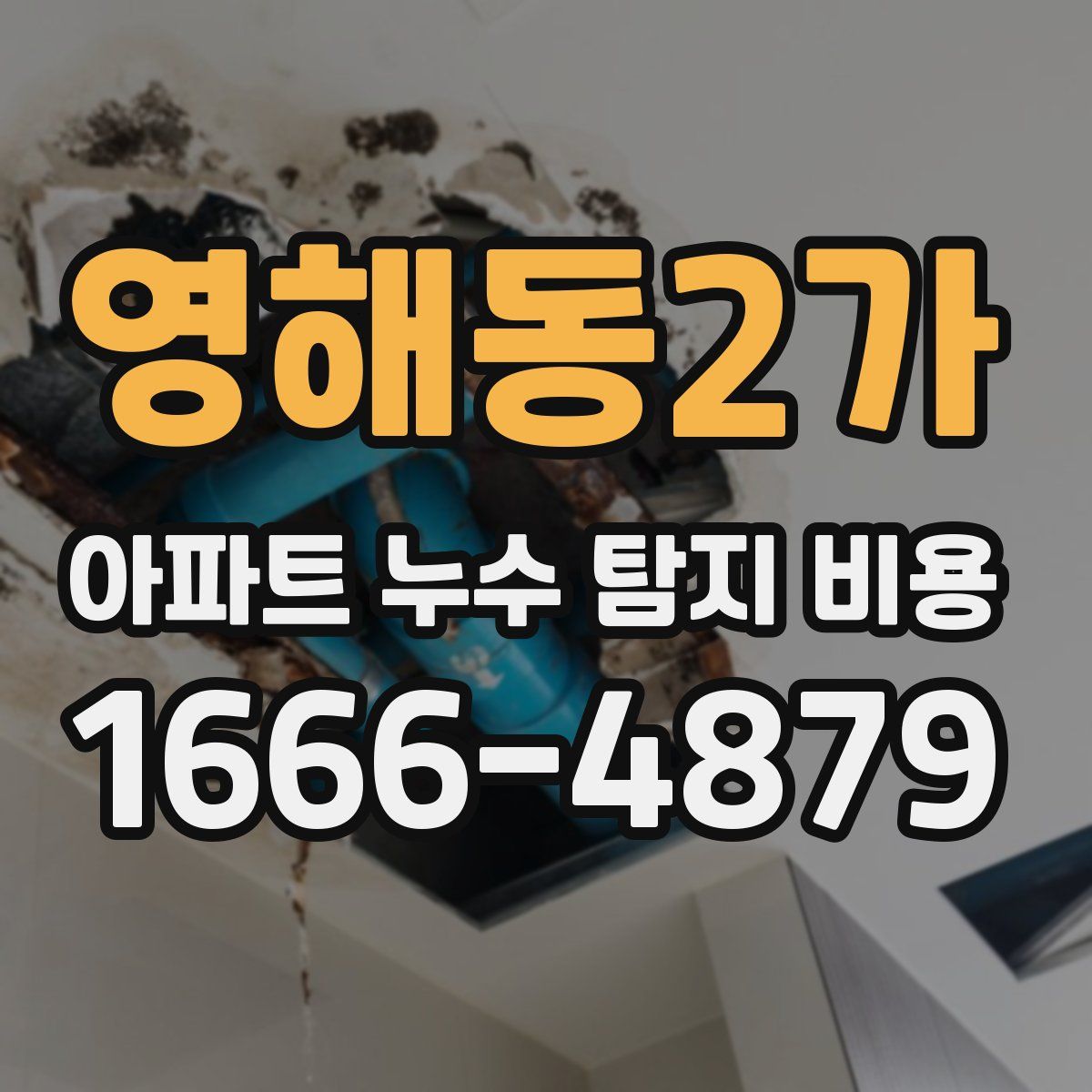 영해동2가 아파트 누수 탐지 비용