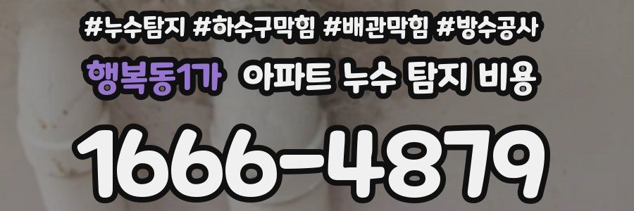 행복동1가 아파트 누수 탐지 비용