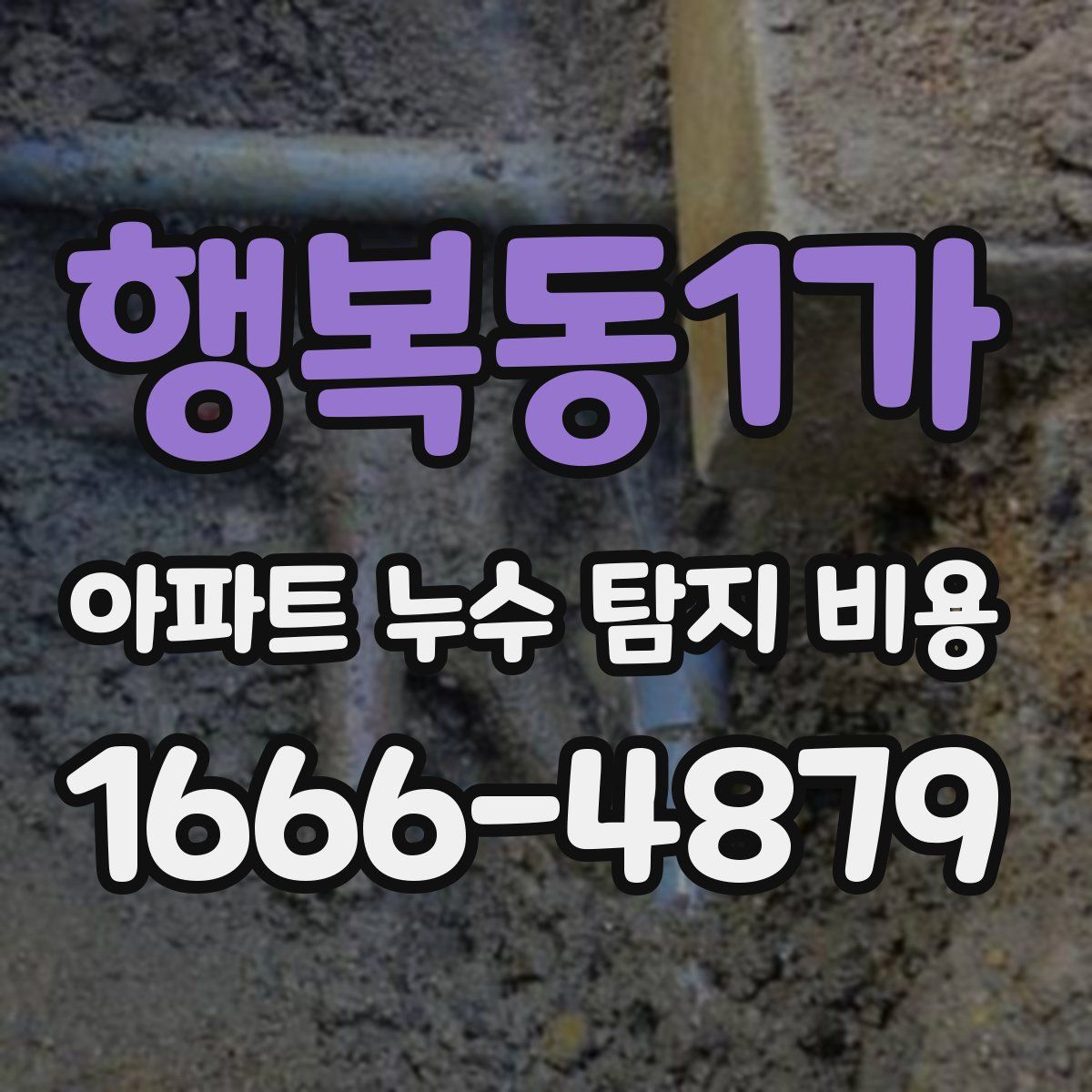 행복동1가 아파트 누수 탐지 비용