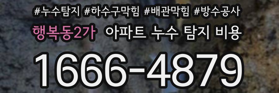 행복동2가 아파트 누수 탐지 비용