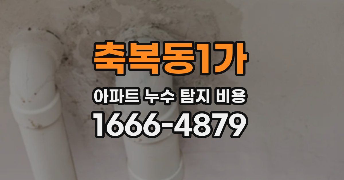 축복동1가 아파트 누수 탐지 비용