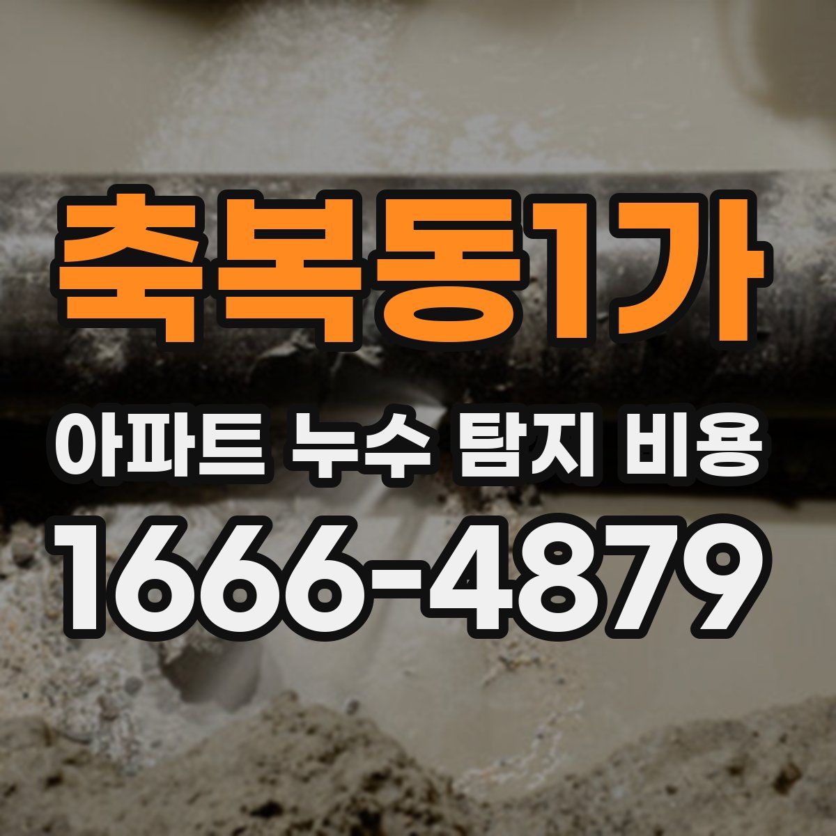 축복동1가 아파트 누수 탐지 비용