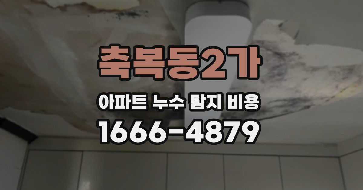 축복동2가 아파트 누수 탐지 비용