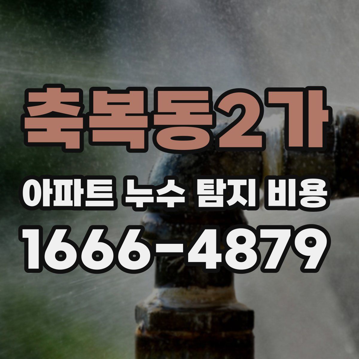 축복동2가 아파트 누수 탐지 비용