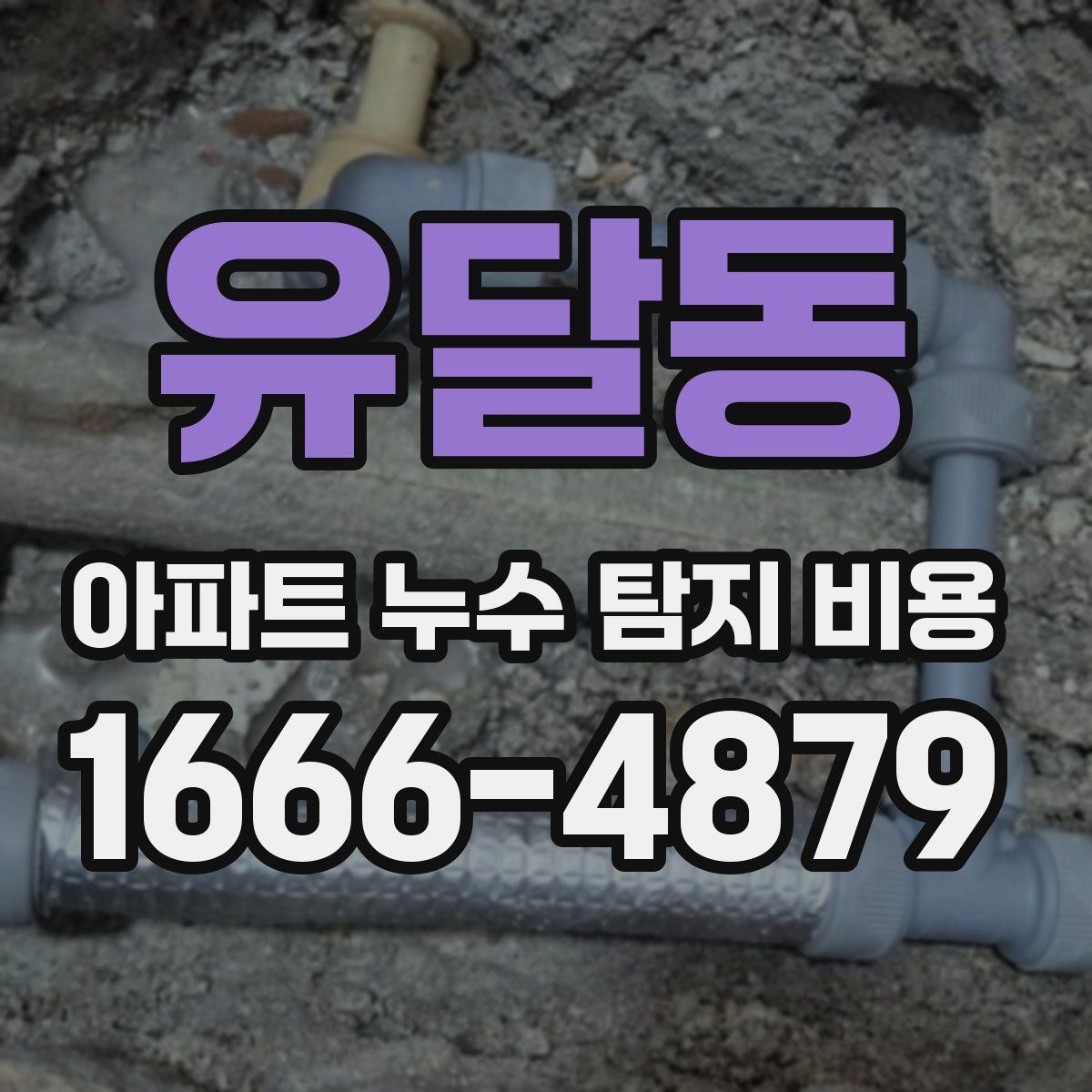 유달동 아파트 누수 탐지 비용