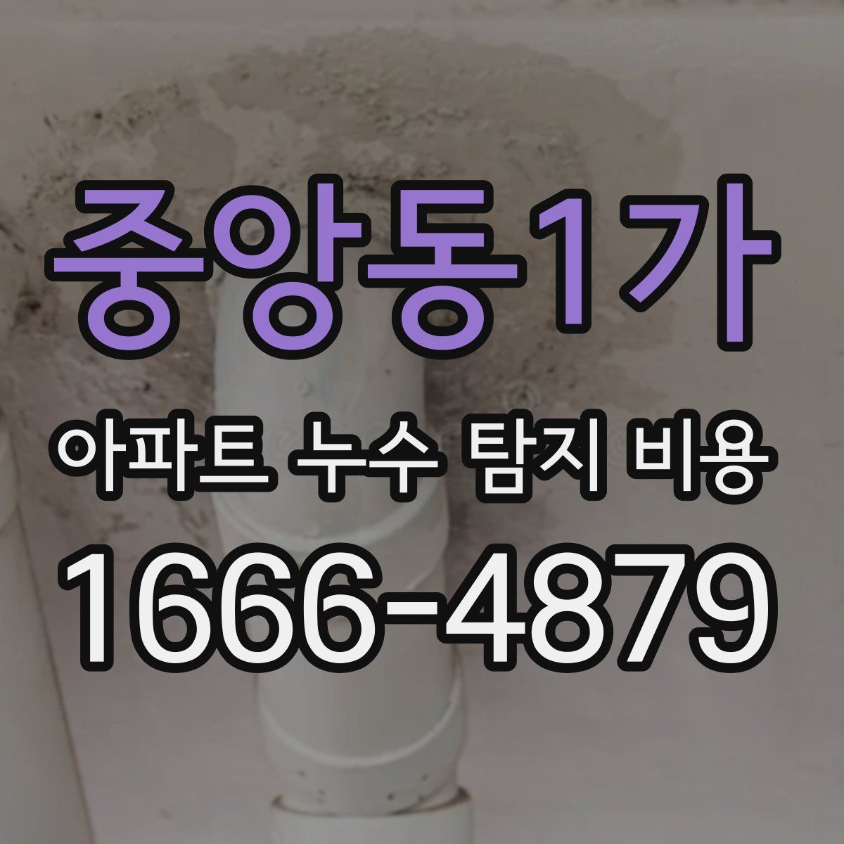 중앙동1가 아파트 누수 탐지 비용