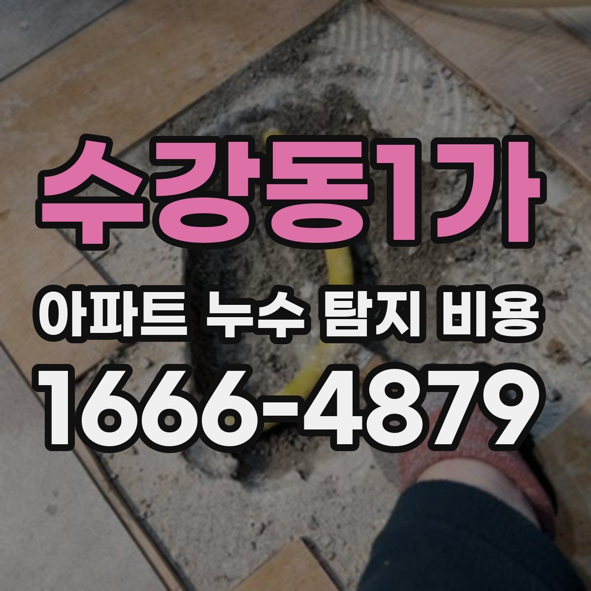 수강동1가 아파트 누수 탐지 비용