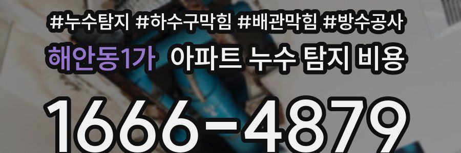 해안동1가 아파트 누수 탐지 비용