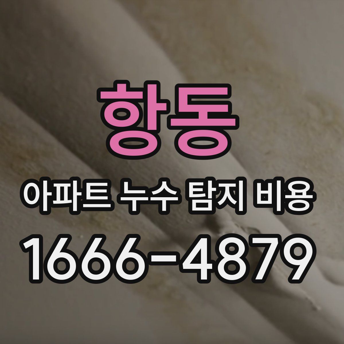 항동 아파트 누수 탐지 비용