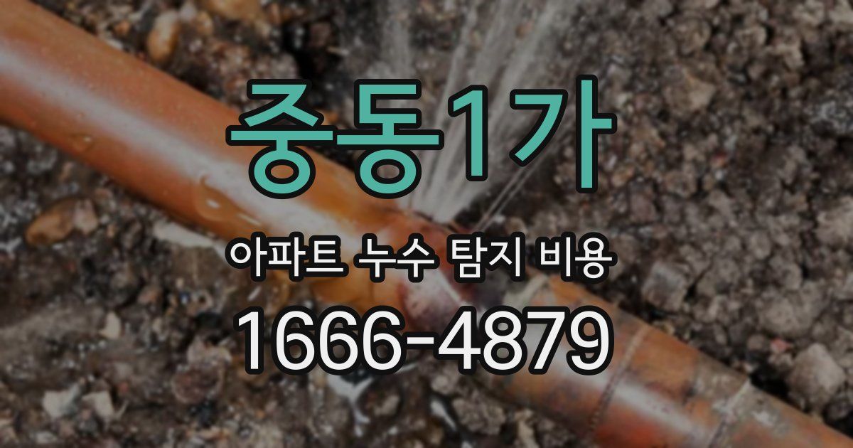 중동1가 아파트 누수 탐지 비용
