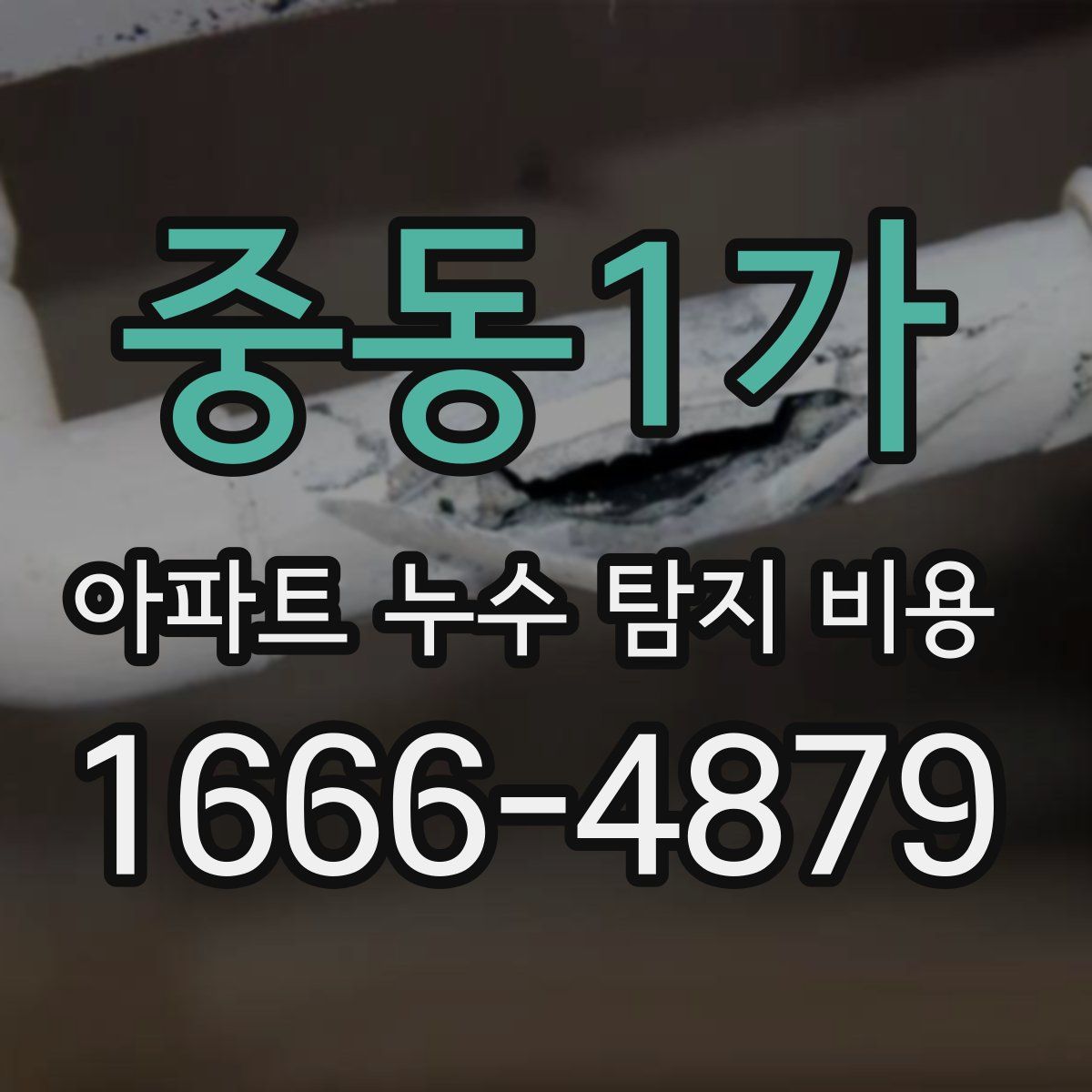 중동1가 아파트 누수 탐지 비용