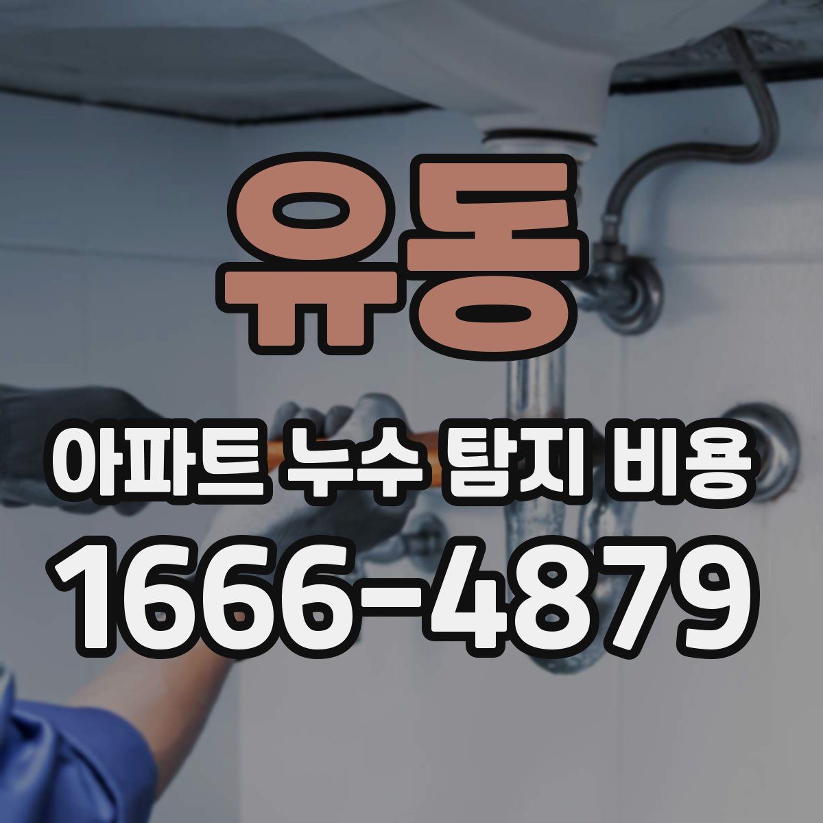 유동 아파트 누수 탐지 비용