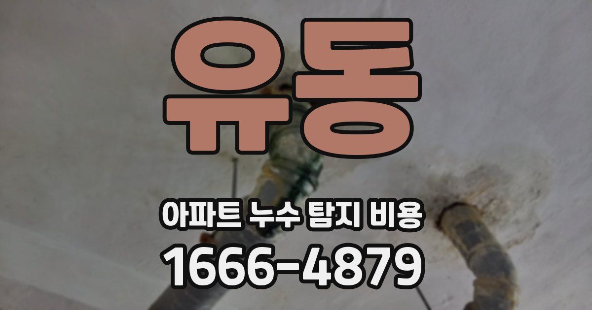 유동 아파트 누수 탐지 비용