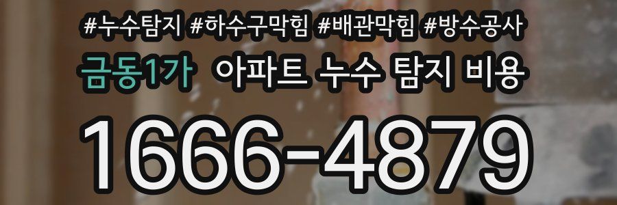 금동1가 아파트 누수 탐지 비용