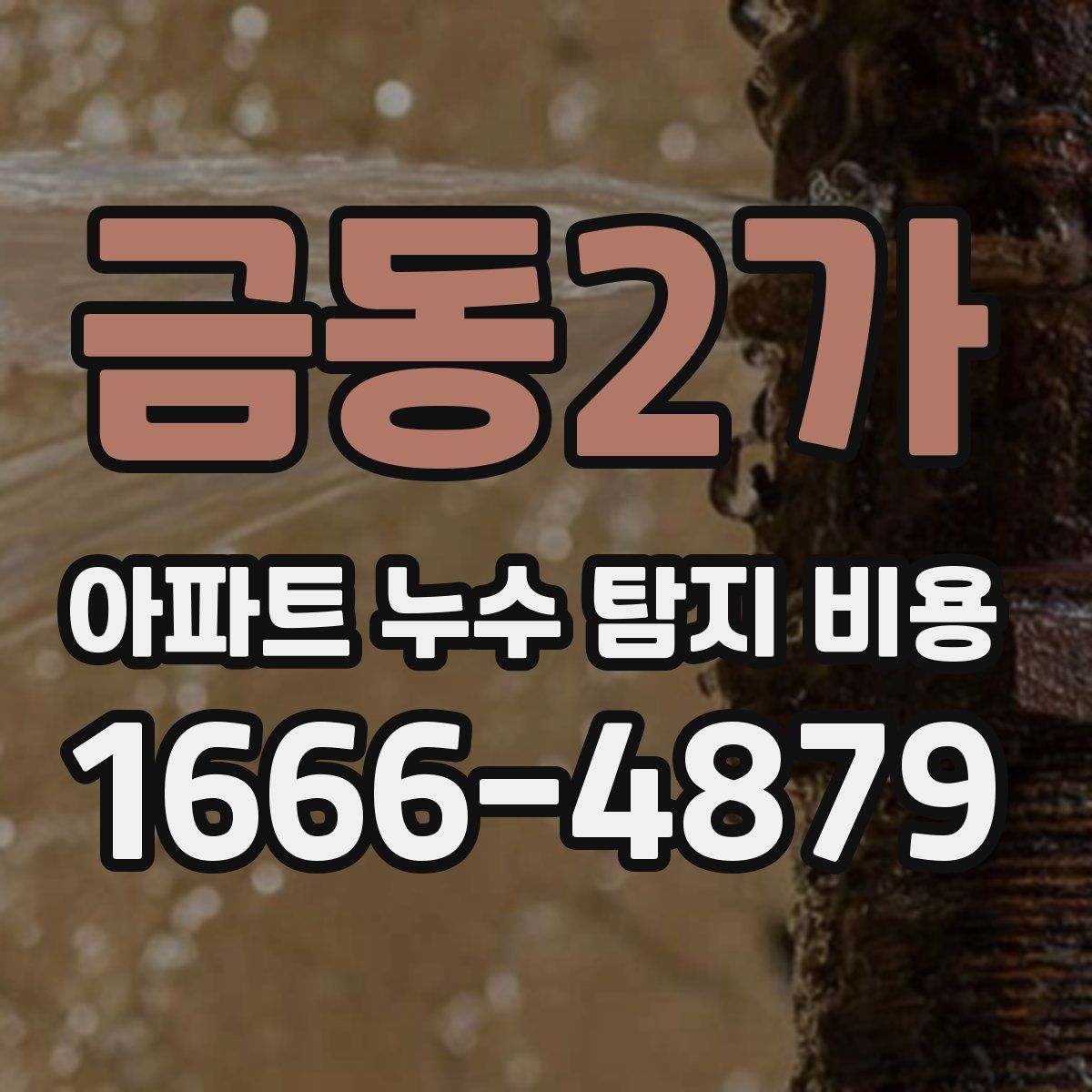 금동2가 아파트 누수 탐지 비용
