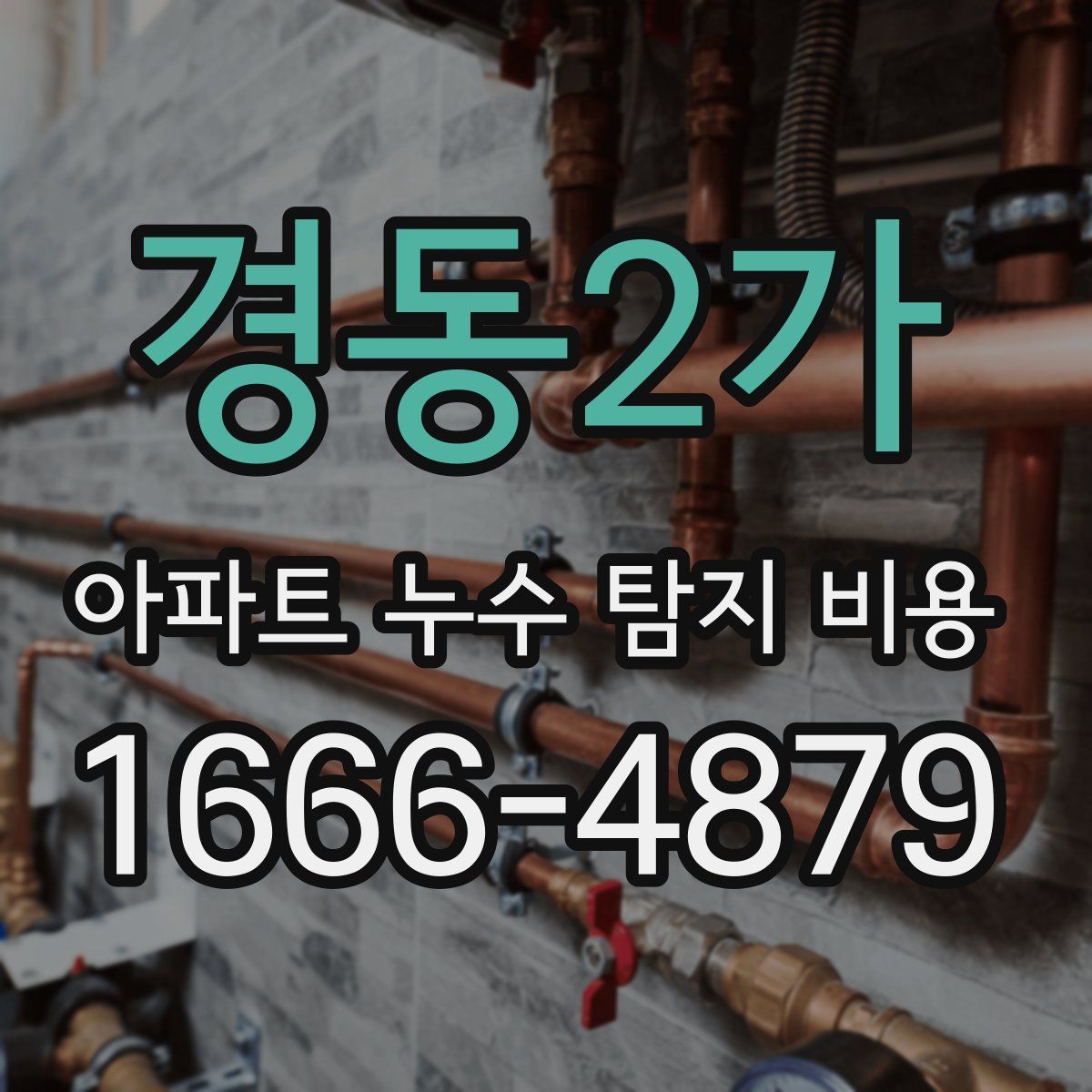 경동2가 아파트 누수 탐지 비용