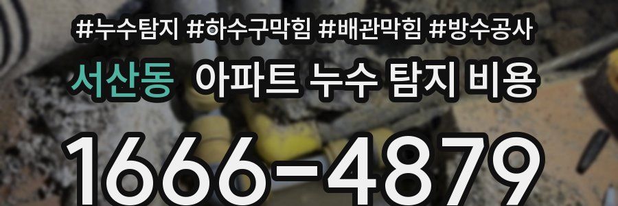 서산동 아파트 누수 탐지 비용