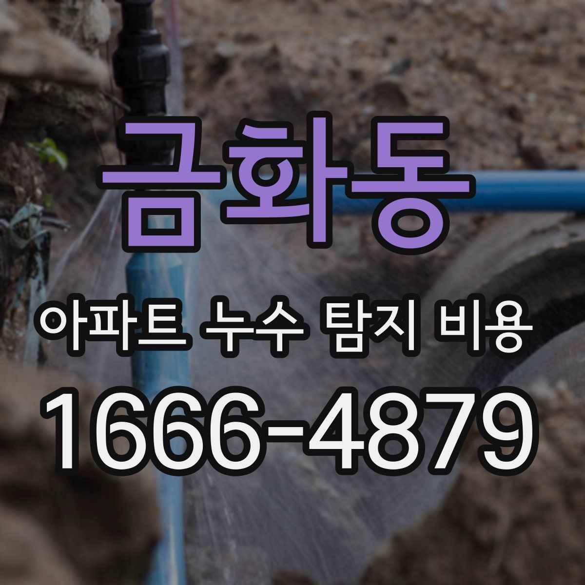 금화동 아파트 누수 탐지 비용