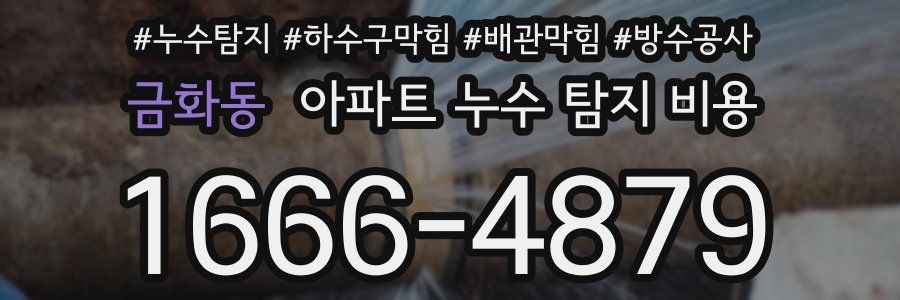 금화동 아파트 누수 탐지 비용