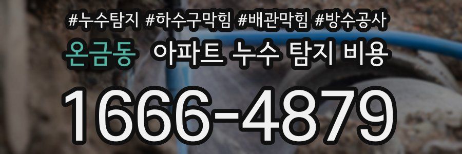온금동 아파트 누수 탐지 비용