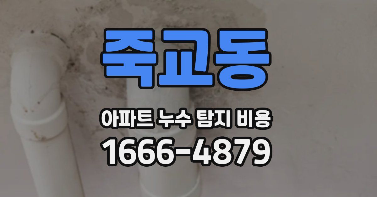죽교동 아파트 누수 탐지 비용