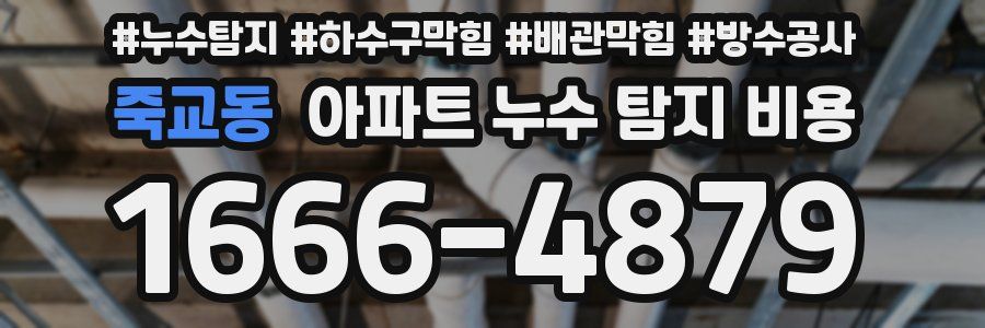 죽교동 아파트 누수 탐지 비용