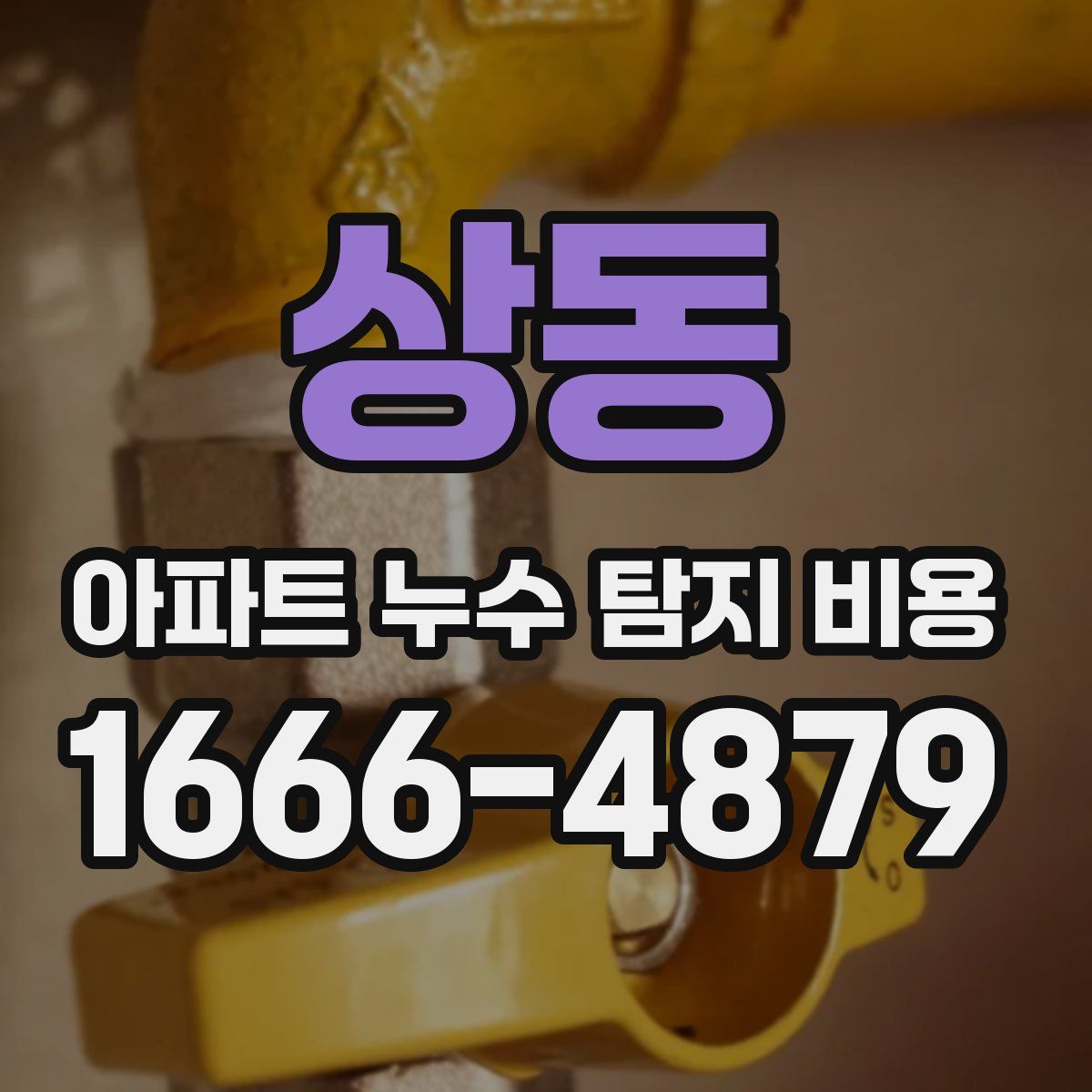 상동 아파트 누수 탐지 비용