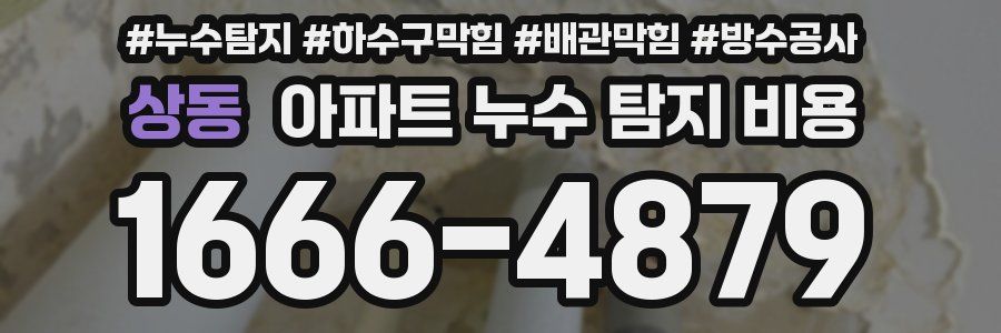 상동 아파트 누수 탐지 비용