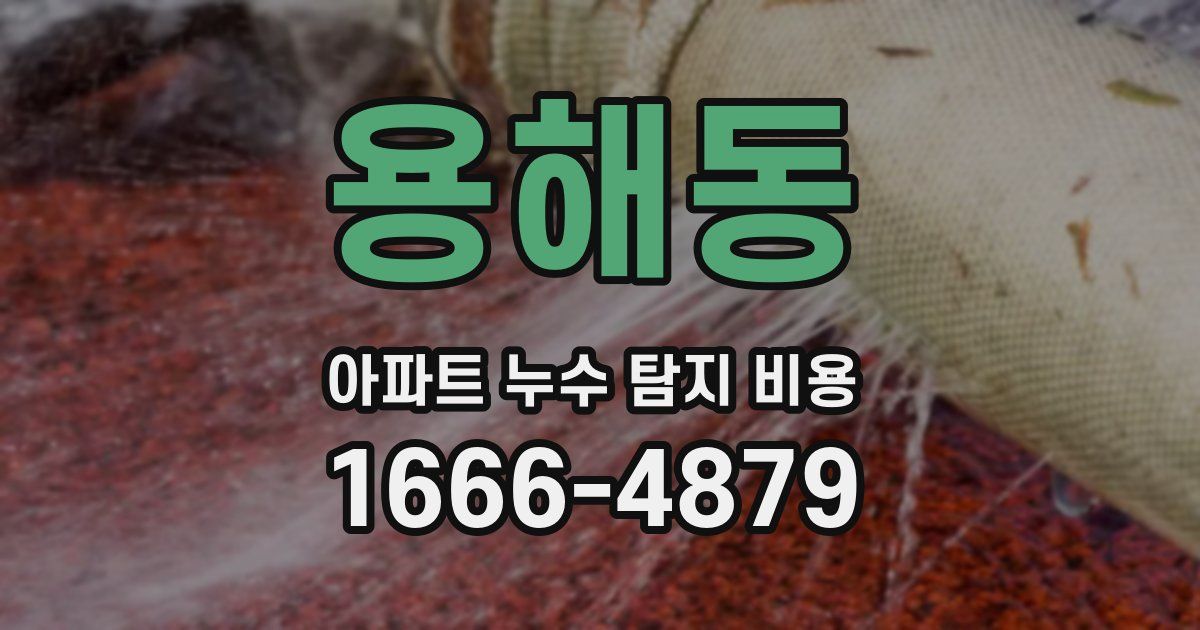 용해동 아파트 누수 탐지 비용