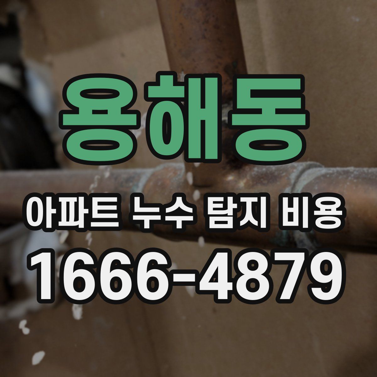 용해동 아파트 누수 탐지 비용
